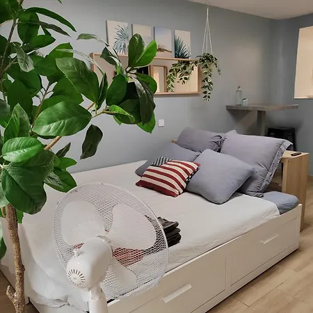Appartement Casa Mia 25m2 Centre Et Panier Marseille